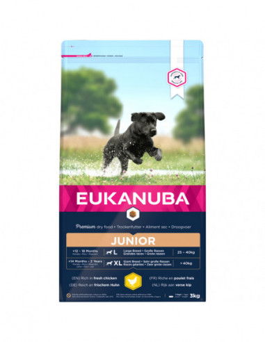 Eukanuba Dog Junior Large