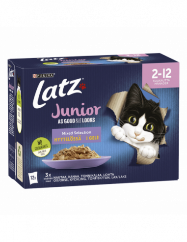 LATZ Junior I Géle 12- Pack