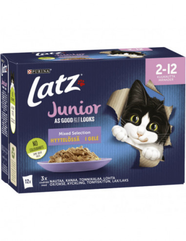 LATZ Junior I Géle 12- Pack