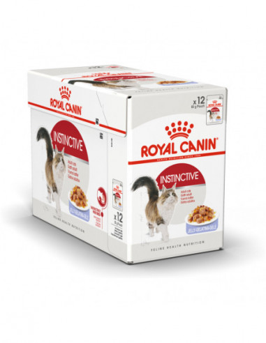 Royal Canin FHN Instinctive Jelly 12x85 g