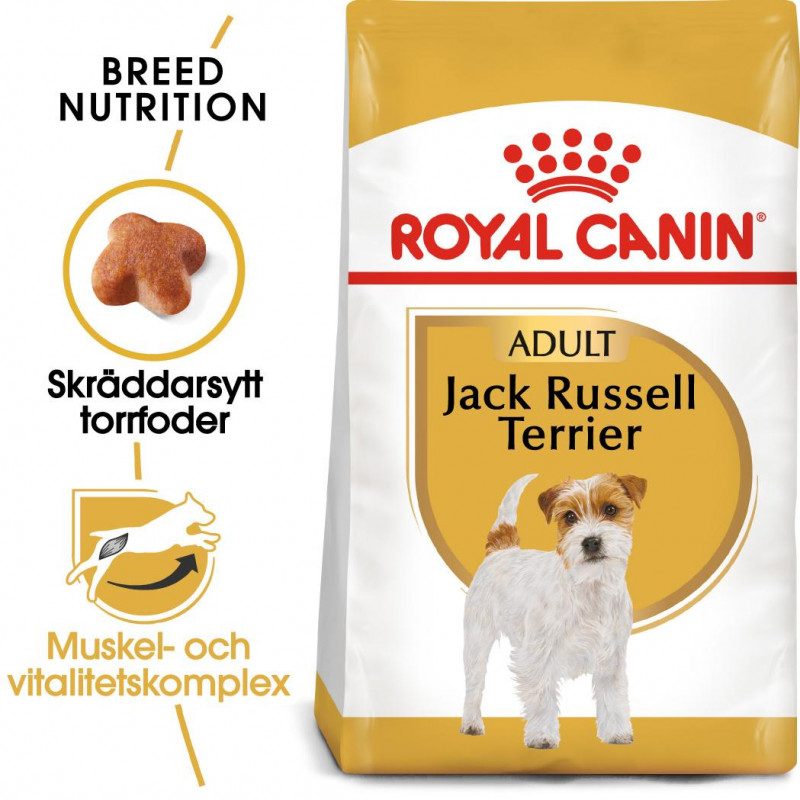 ROYAL CANIN JACK RUSSEL