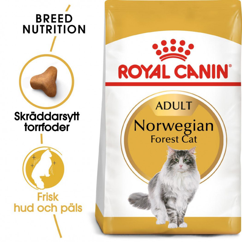 ROYAL CANIN Norwegian Forest Cat