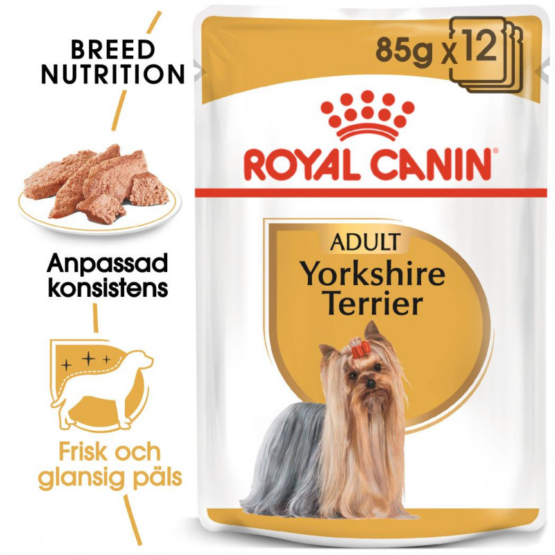 ROYAL CANIN Yorkshire Terr WET 12x85g