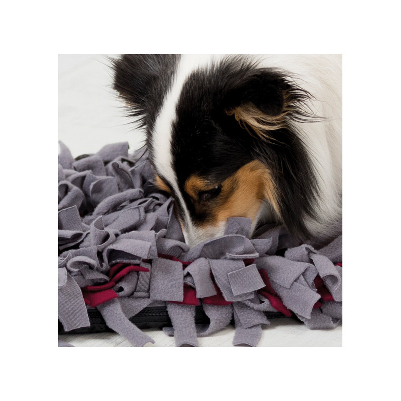Dog Activity "Sniffing Carpet", Nivå 1, 50 × 34 cm
