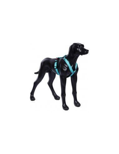 FORM HARNESS TURQUOISE M