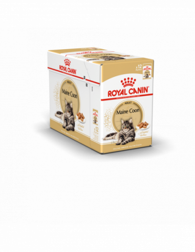 ROYAL CANIN Maine Coon Adult WET 12x85g