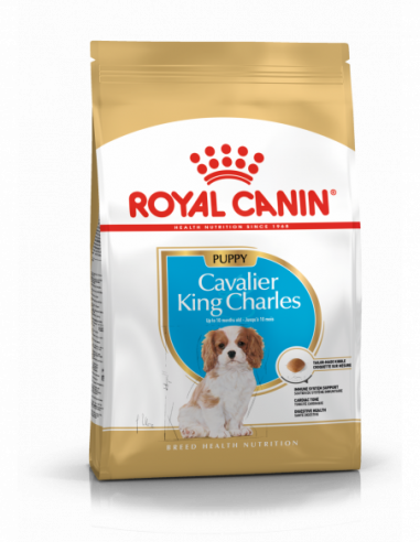 ROYAL CANIN Cavalier K Ch Jun | 1,5 kg |