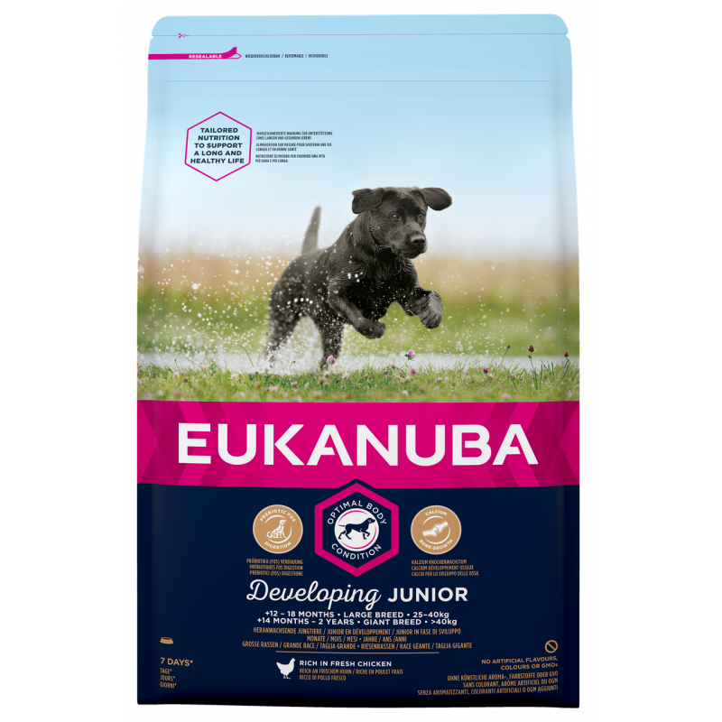 Eukanuba Dog Junior Large